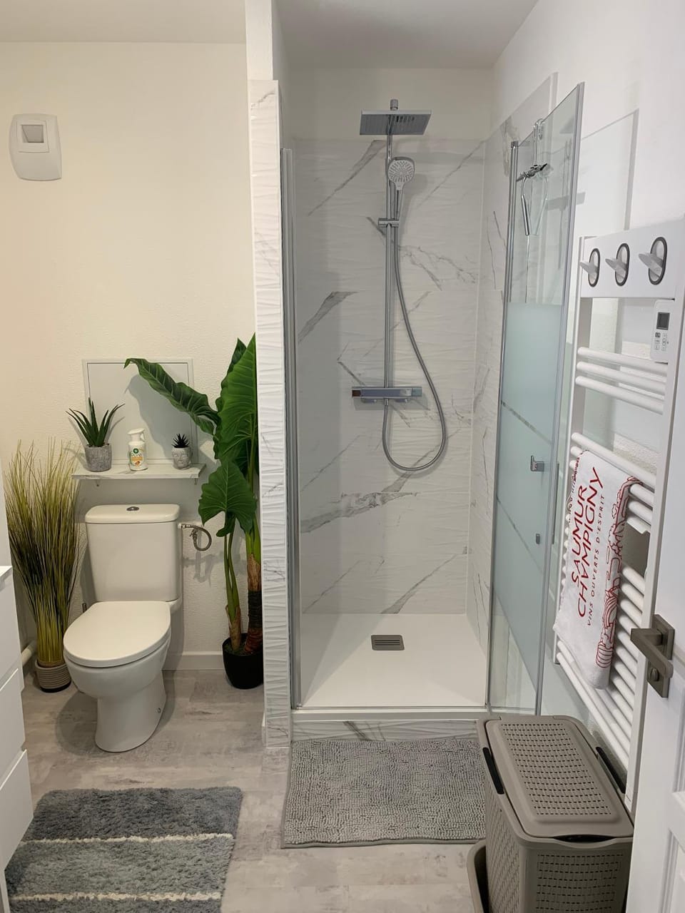 Shower, Toilet, Bathroom, towels