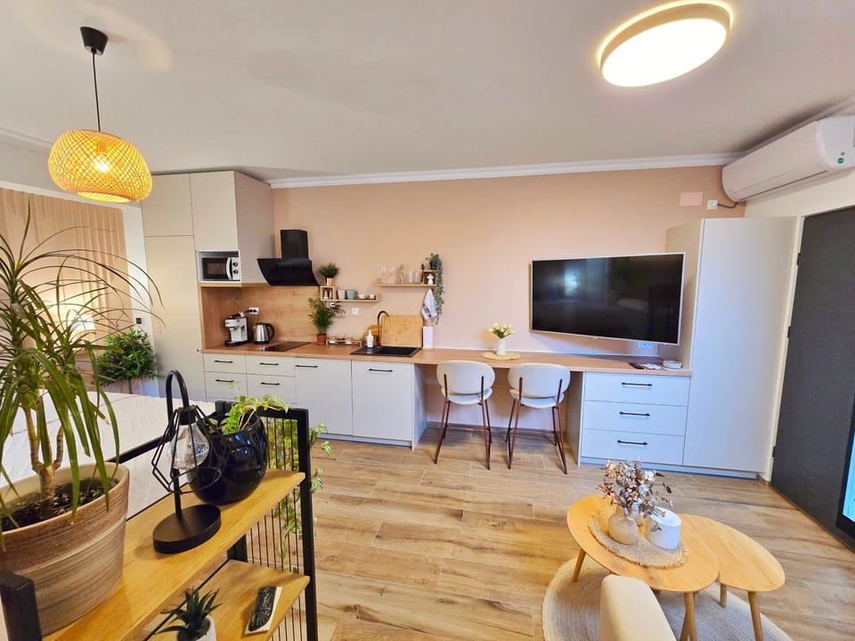 Communal lounge/ TV room, TV and multimedia, Kitchen or kitchenette, Living room, Seating area, Dining area, air conditioner