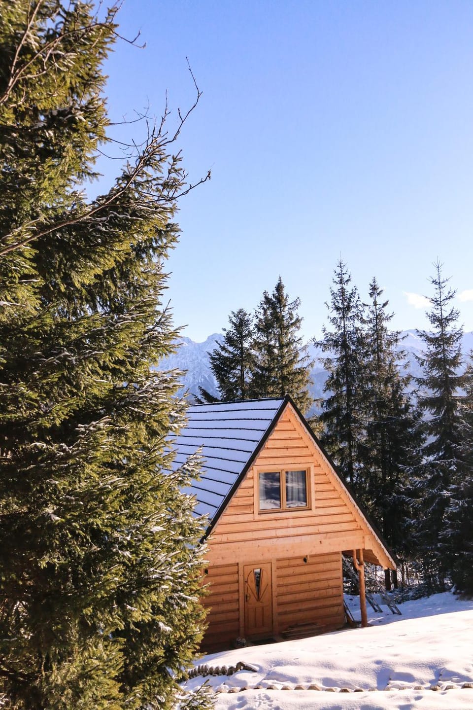 Domki u Ali Chalet in Zakopane