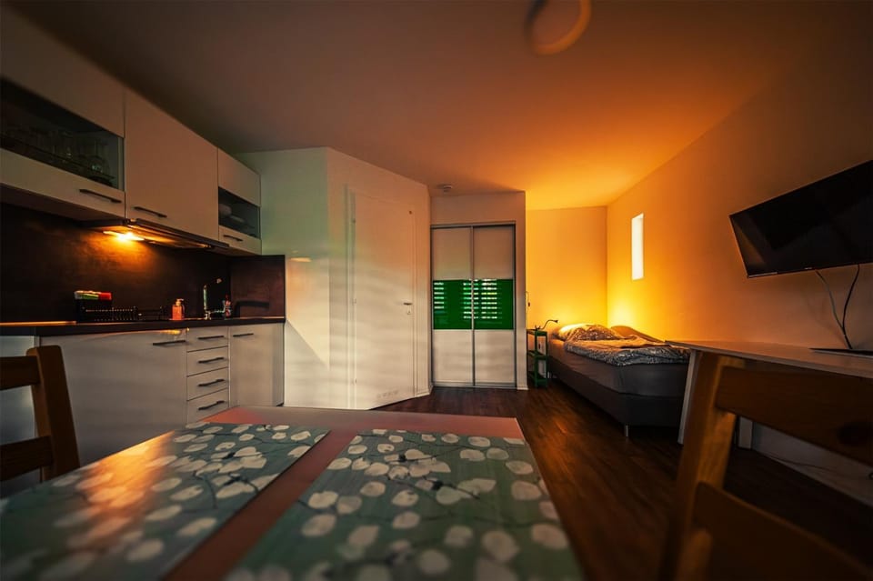 Bed, TV and multimedia, Kitchen or kitchenette, Photo of the whole room, Bedroom, wardrobe