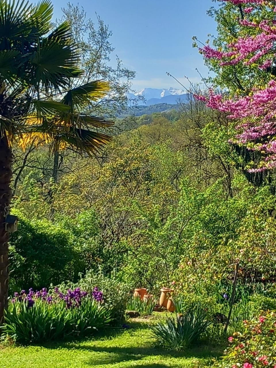 Plumes d'art Bed and Breakfast in Occitanie