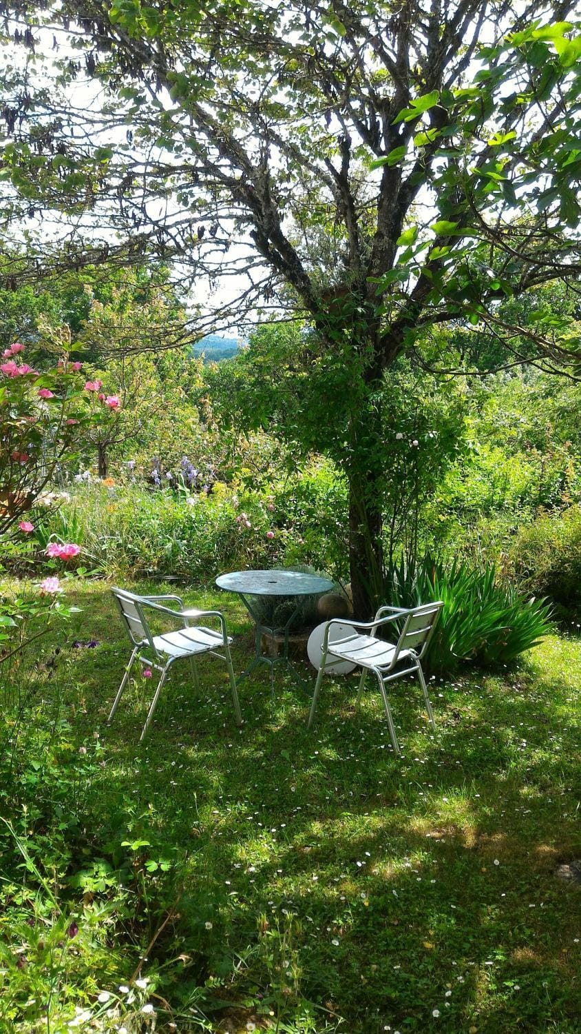Plumes d'art Bed and Breakfast in Occitanie