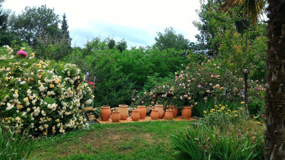 Plumes d'art Bed and Breakfast in Occitanie