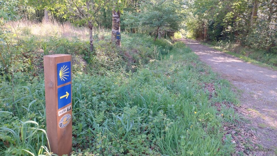 CASA abruñeiras House in Galicia