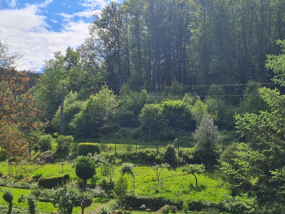 Spring, Off site, Day, Natural landscape, Garden, Garden view