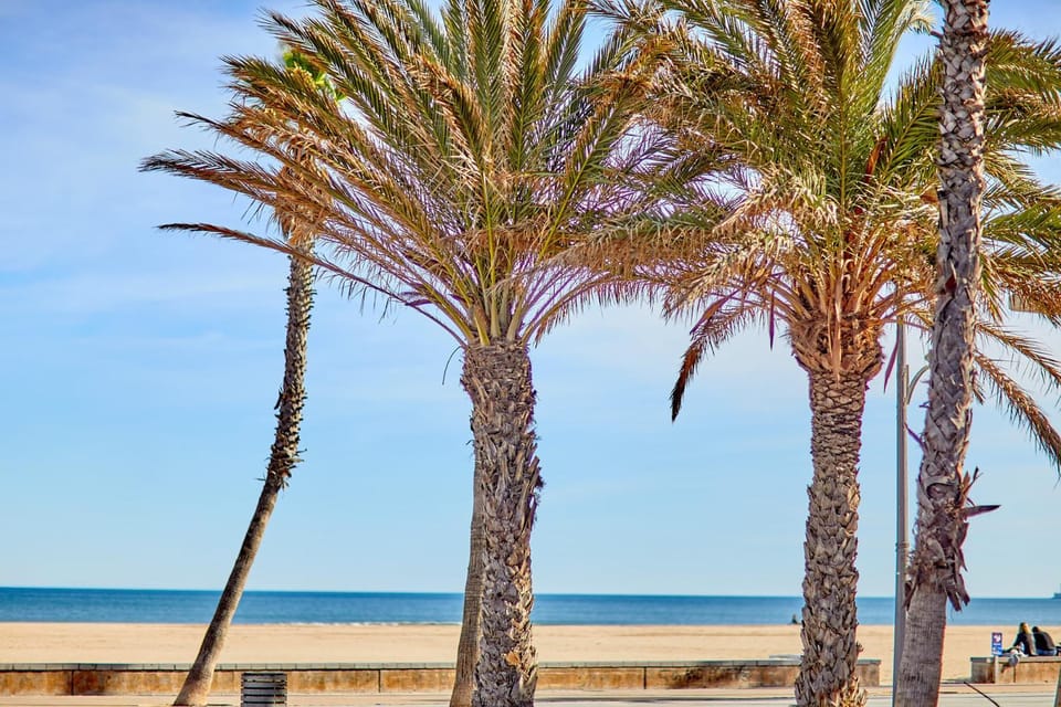 Nearby landmark, Beach