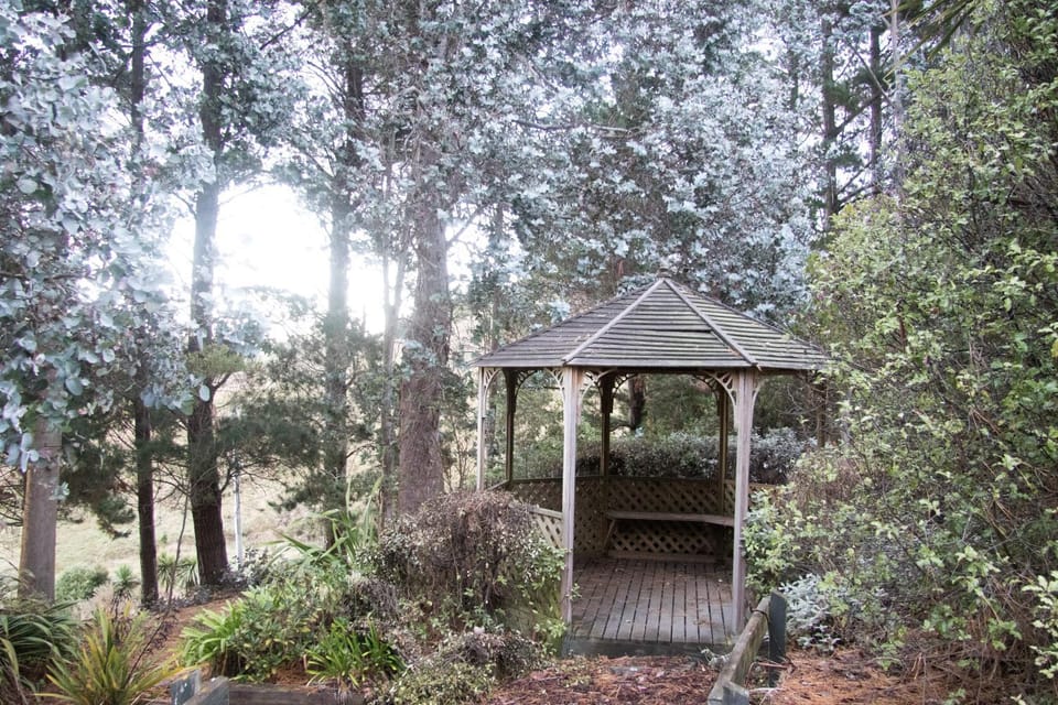 Natural landscape, Garden, Garden view