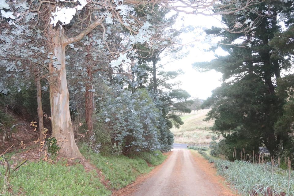 Natural landscape