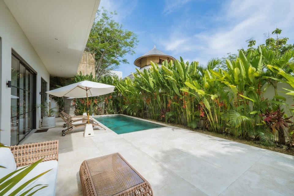 Garden, Garden view, Pool view, Swimming pool, sunbed