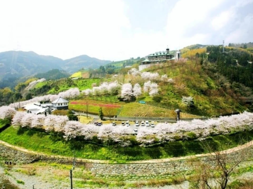 Spring
