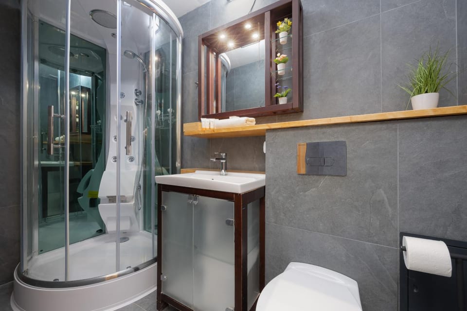 Shower, Toilet, Bathroom, towels