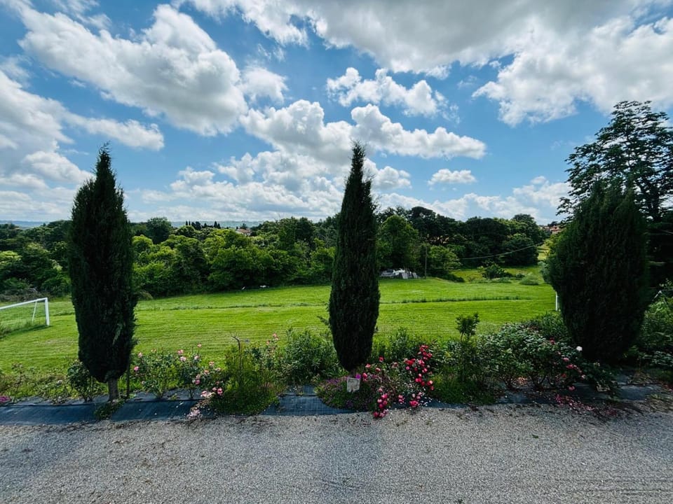 Natural landscape, Garden, Garden view