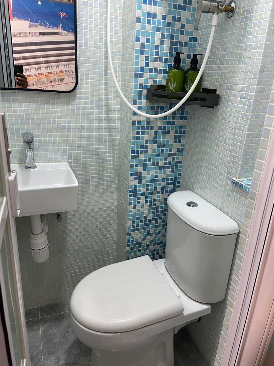 Shower, Toilet, Bathroom