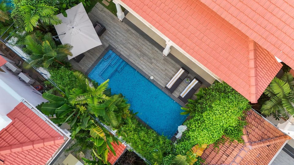 Property building, Patio, Day, Garden, Garden view, Pool view, Swimming pool, sunbed