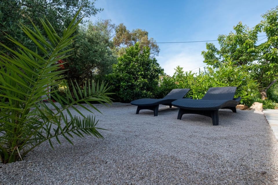 Garden, sunbed
