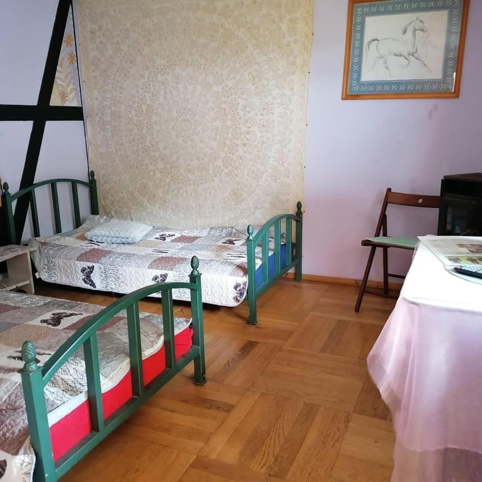 Pokój Afryka-Puszcza kampinoska Apartment in Masovian Voivodeship