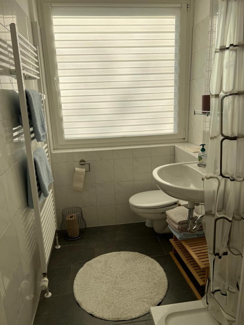 Shower, Toilet, towels, towels