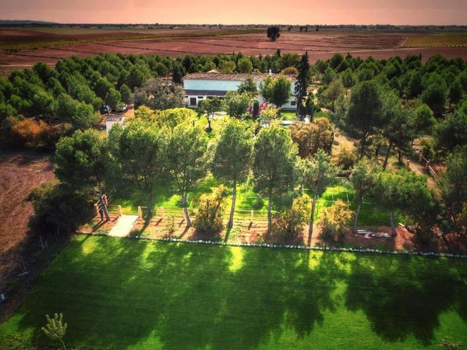 Off site, Bird's eye view