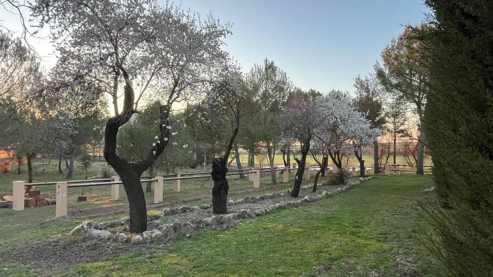 La Casa del Marqués Country House in La Mancha