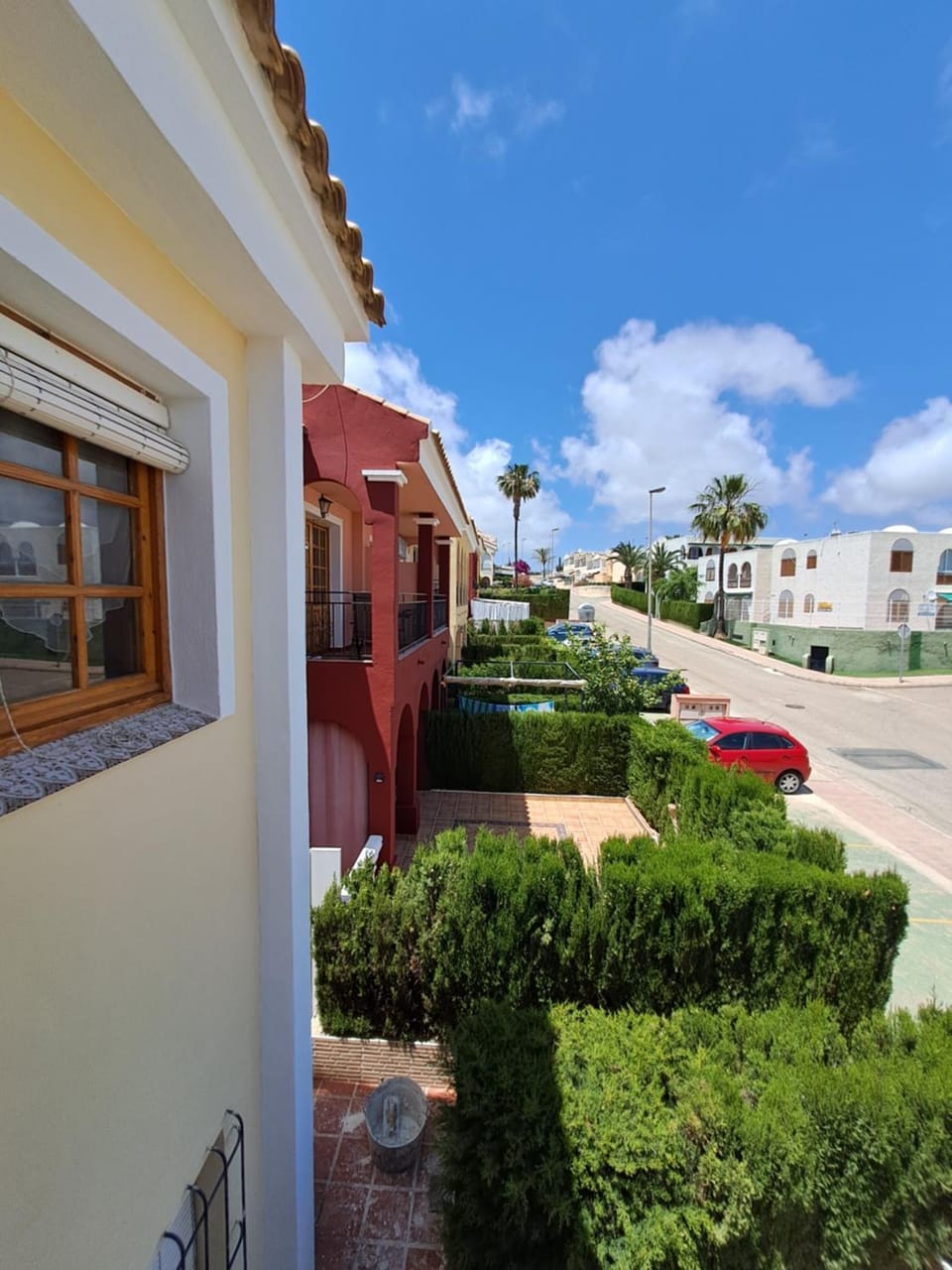 Garden view