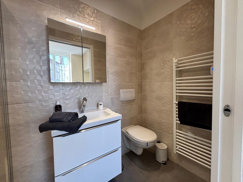 Shower, Toilet, Bathroom, towels