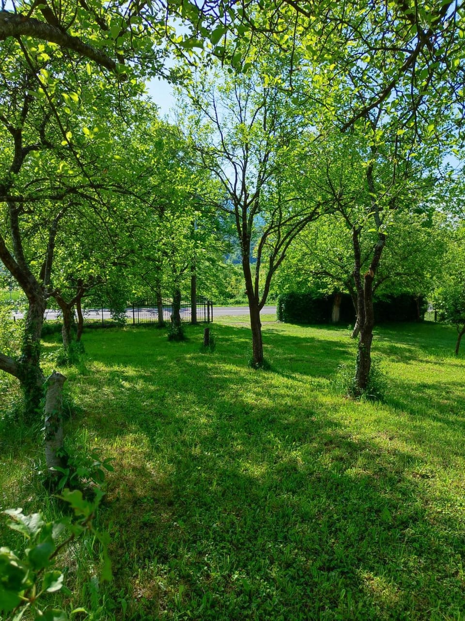 Apartmani Lohovo Apartment in Lika-Senj County