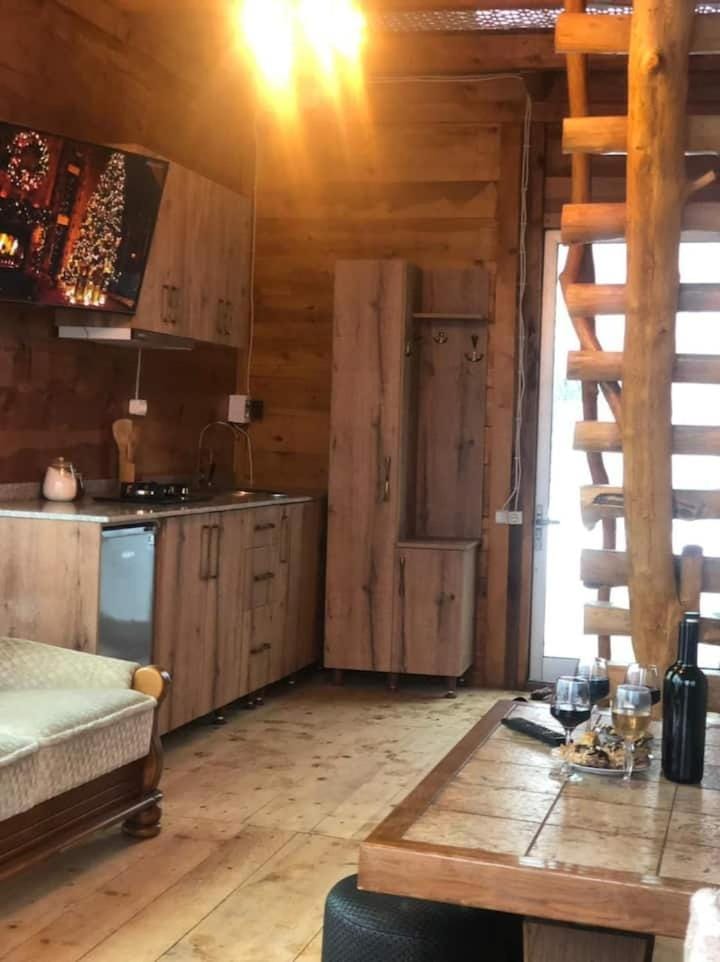 Kitchen or kitchenette, minibar