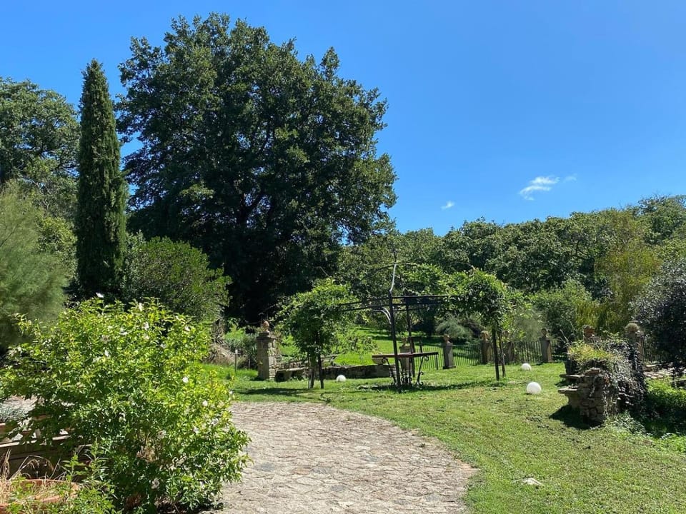 Garden view