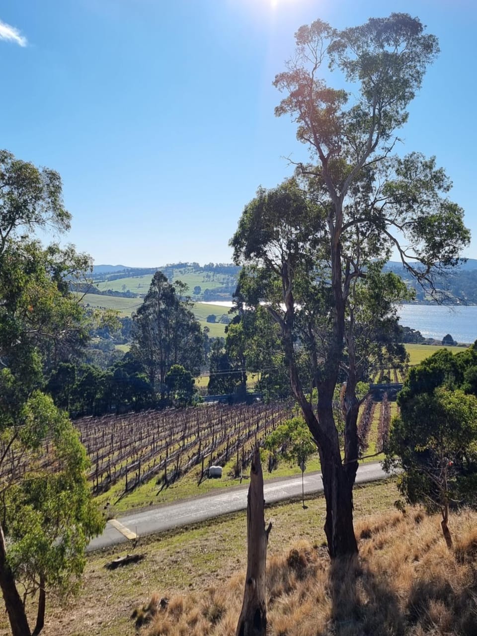 Vineyard Haven Apartment in Grindelwald