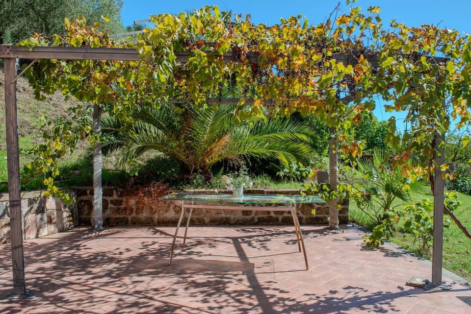 Natural landscape, Garden