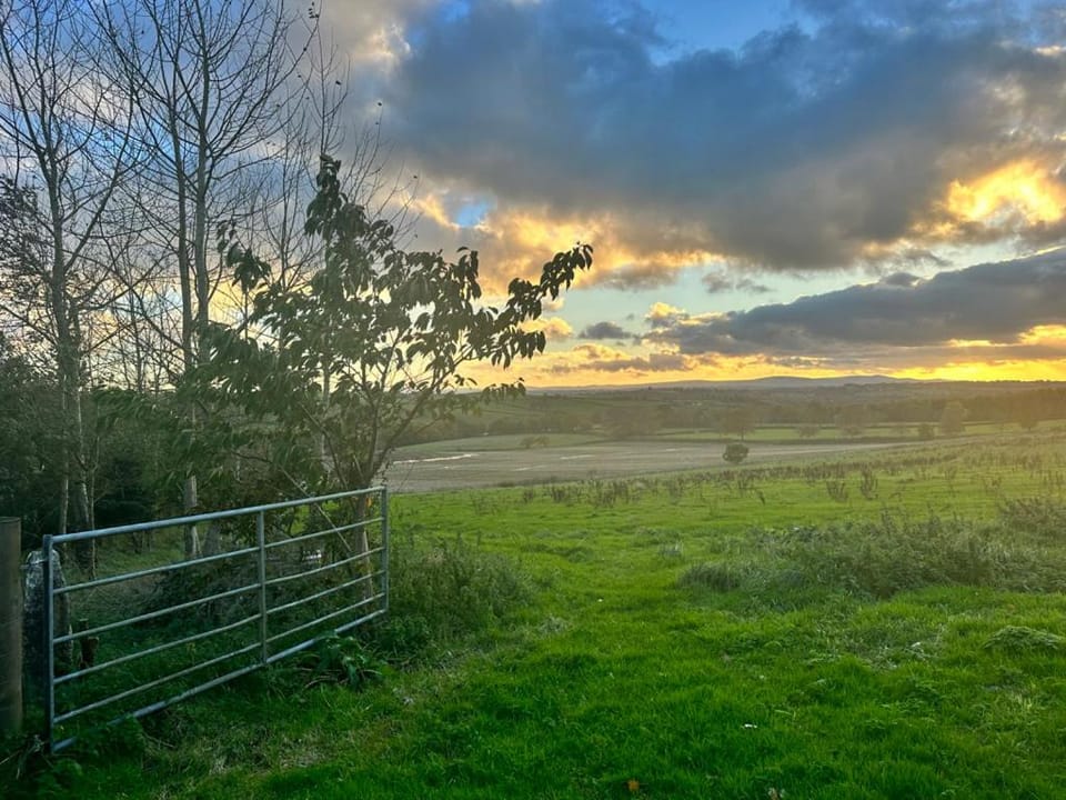 Natural landscape, Sunset