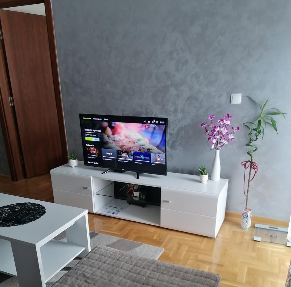 TV and multimedia