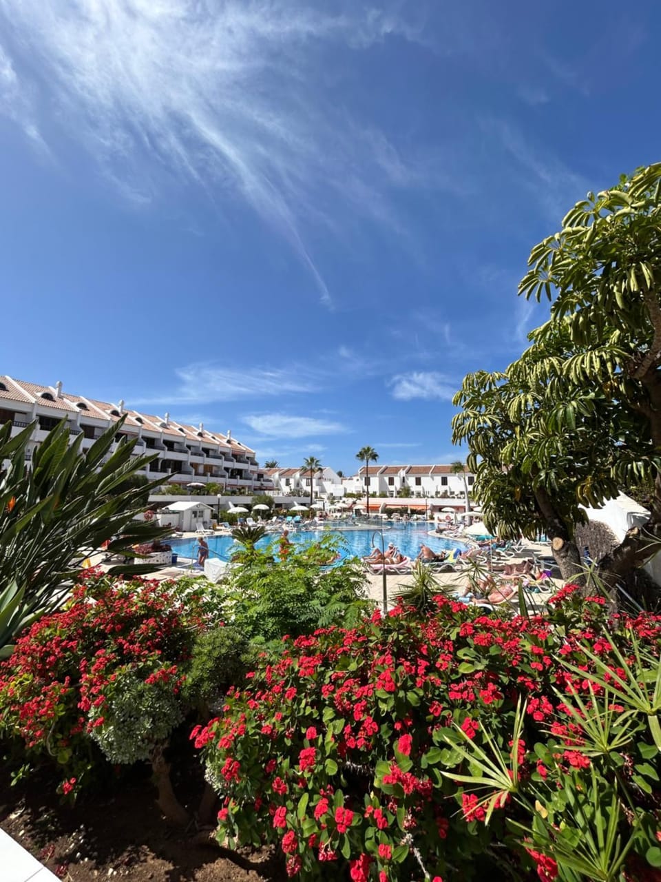 Property building, Restaurant/places to eat, Swimming pool