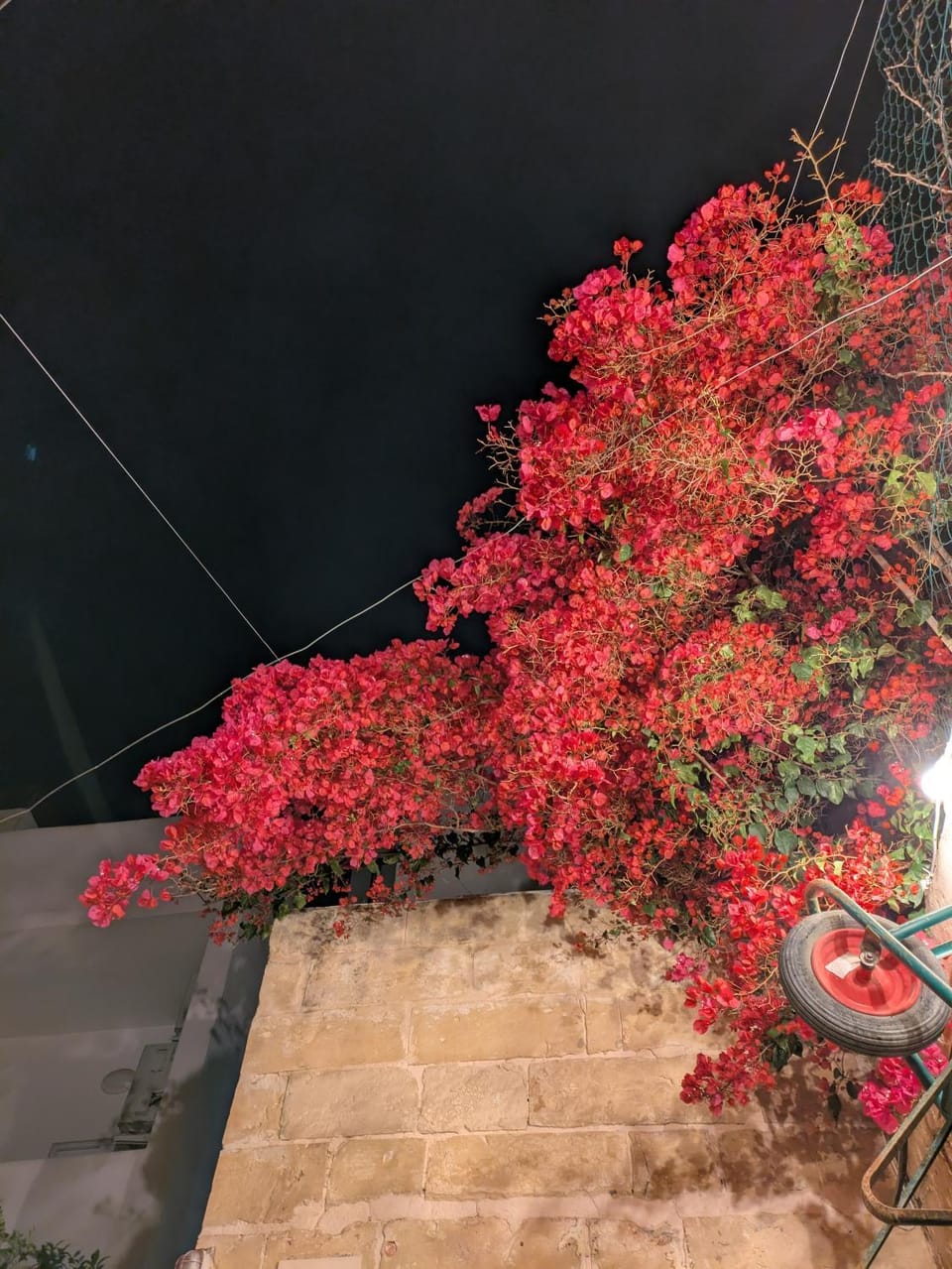 Paddy's Studio Bed and Breakfast in Malta