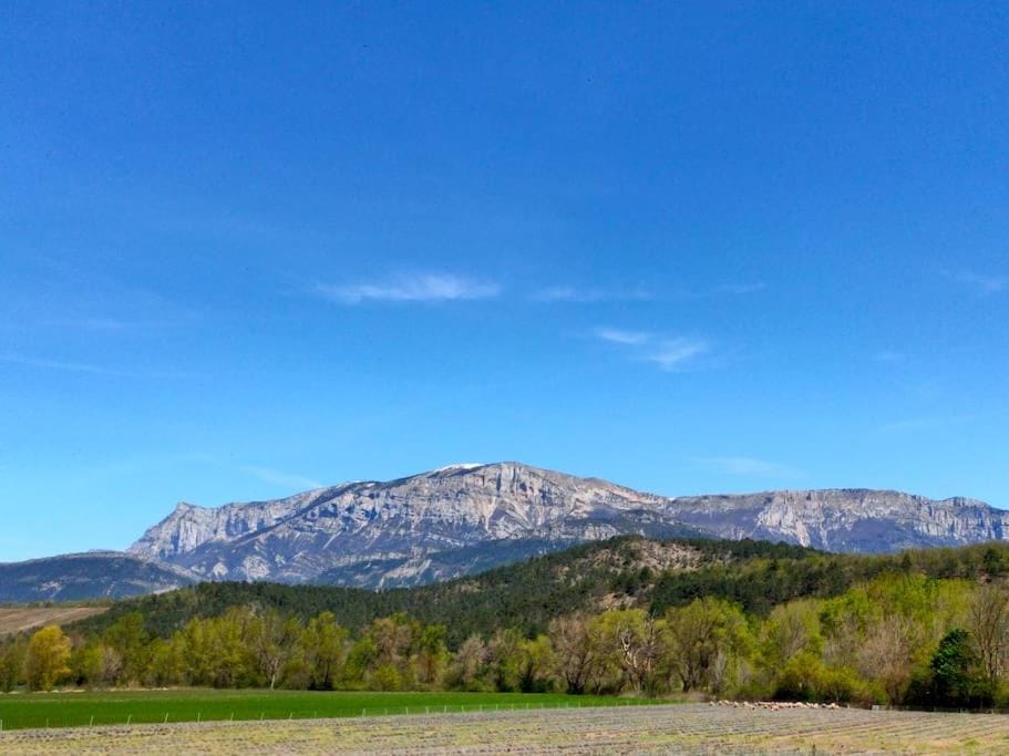 Appartement dans maison individuelle Apartment in Provence-Alpes-Côte d'Azur