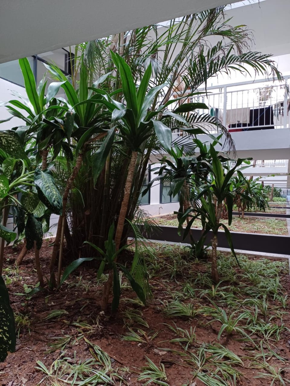 Umhlanga the Coconut at the Millenial Apartment in KwaZulu-Natal