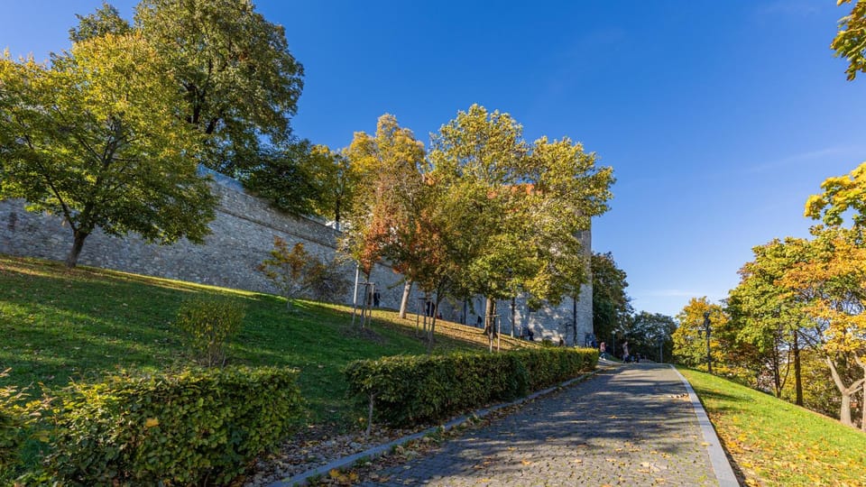 Neighbourhood, Natural landscape