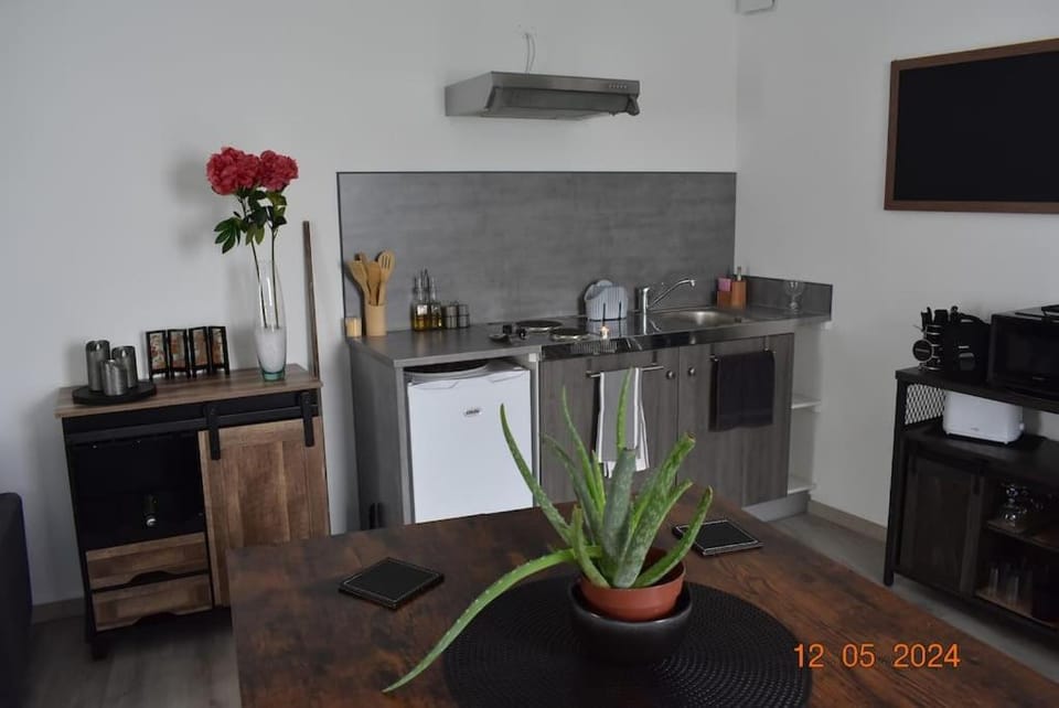 Charmant RDC au Cœur du village Apartment in Occitanie