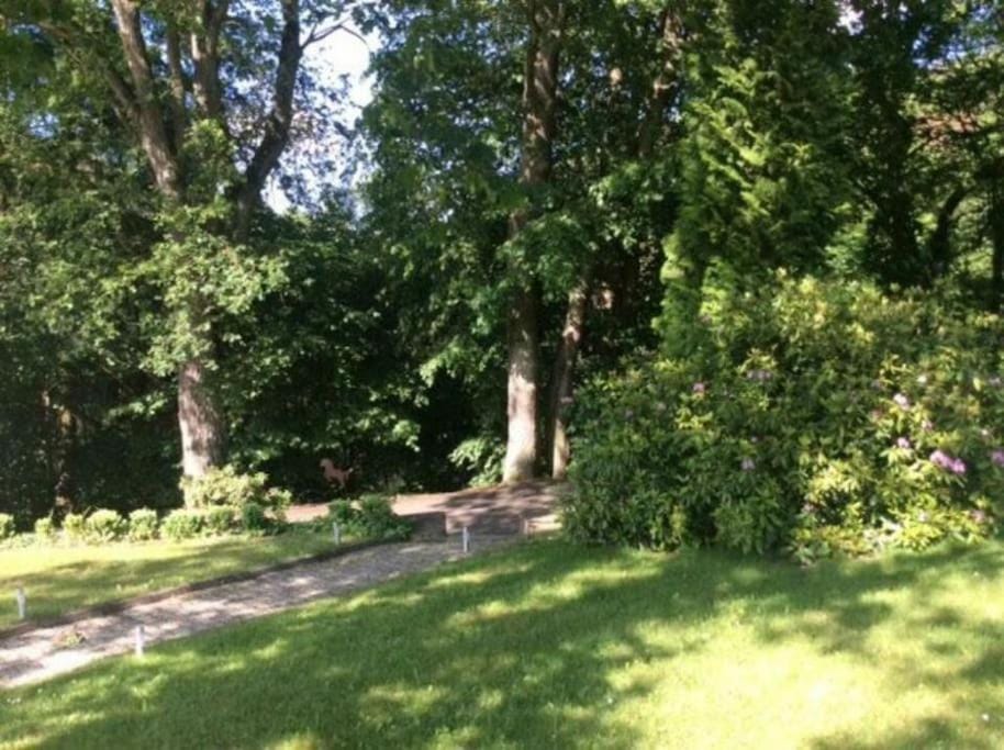 Garden view