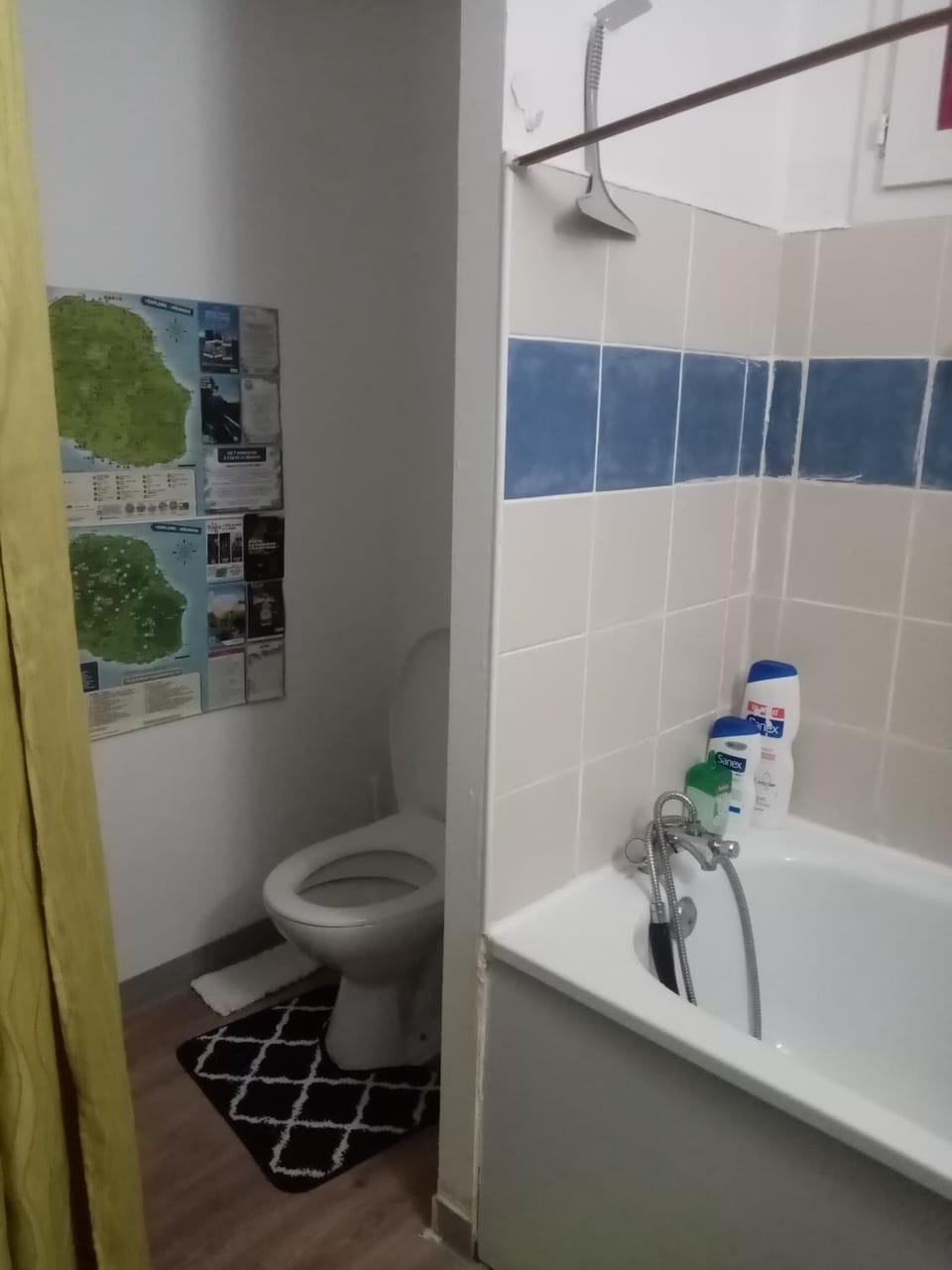 Toilet, Bathroom