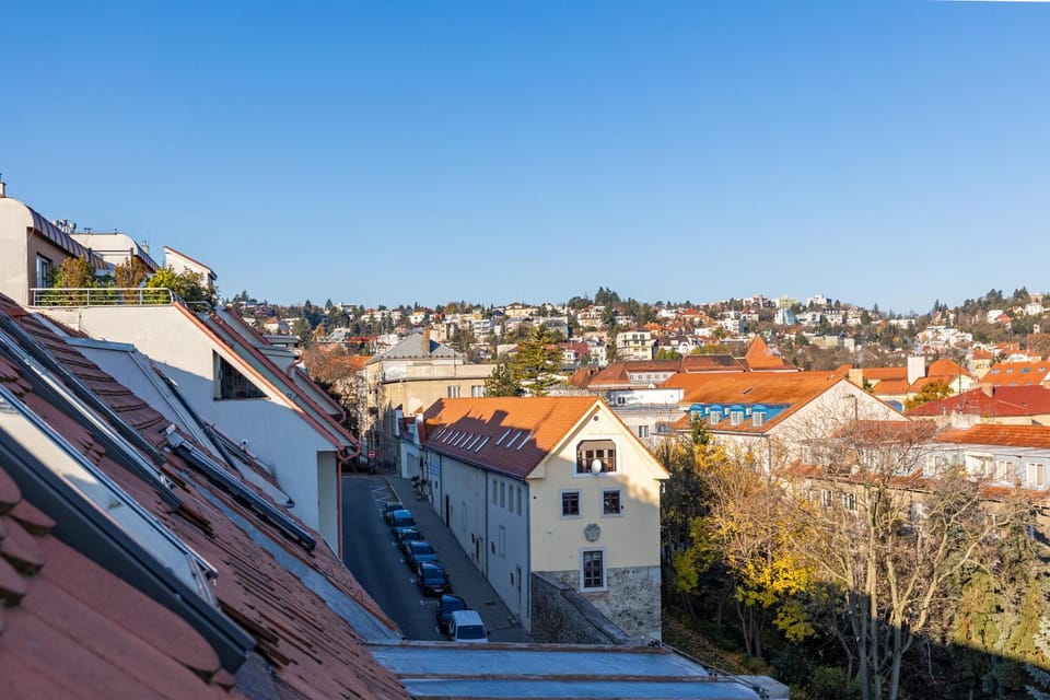 City view, Location