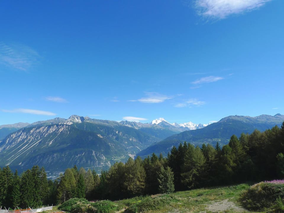 View (from property/room)