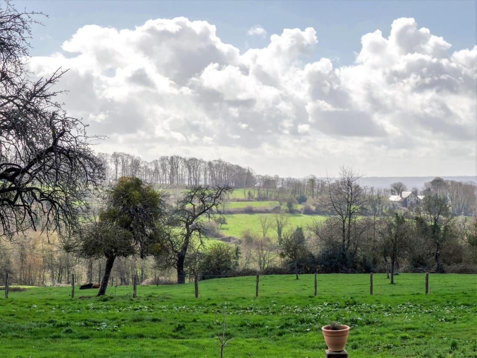 View (from property/room)