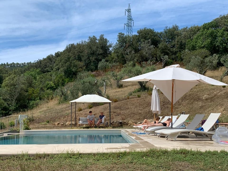 Garden, Pool view, sunbed