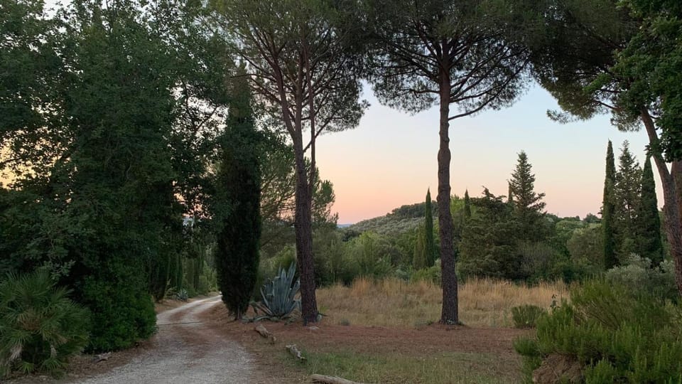 Natural landscape, Garden