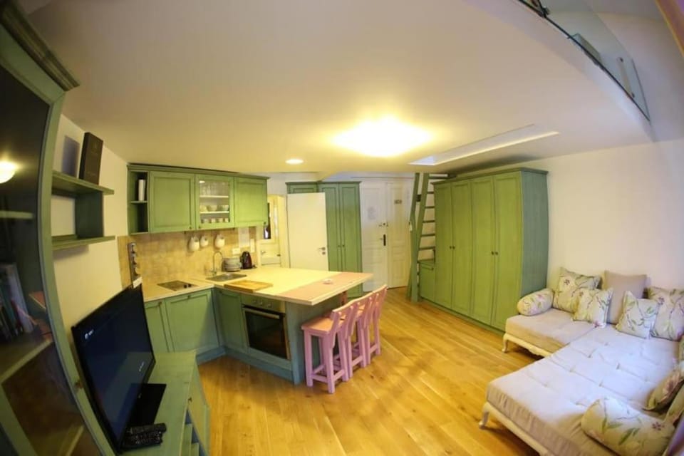 TV and multimedia, Kitchen or kitchenette, Living room, Seating area, Dining area, oven, stove, wardrobe