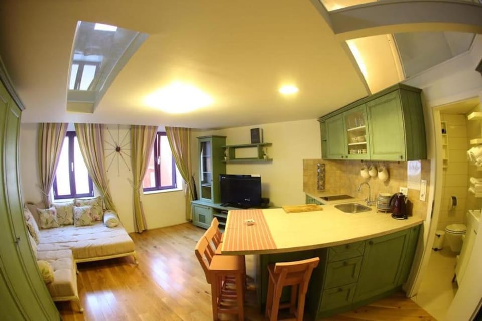 TV and multimedia, Kitchen or kitchenette, Living room, Photo of the whole room, Seating area, Dining area