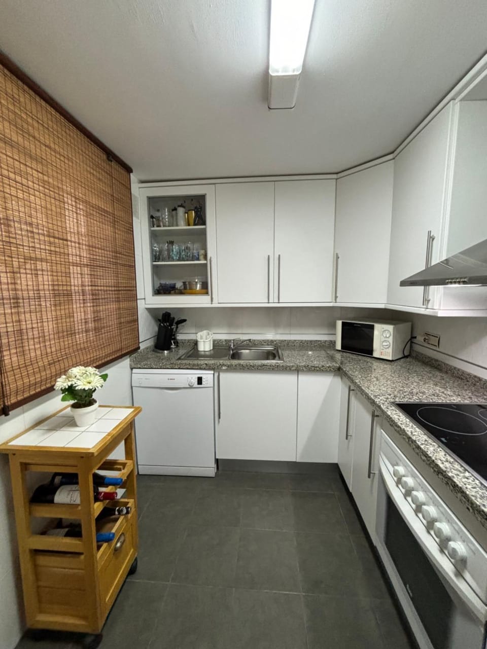 Kitchen or kitchenette, dishwasher, oven, stove