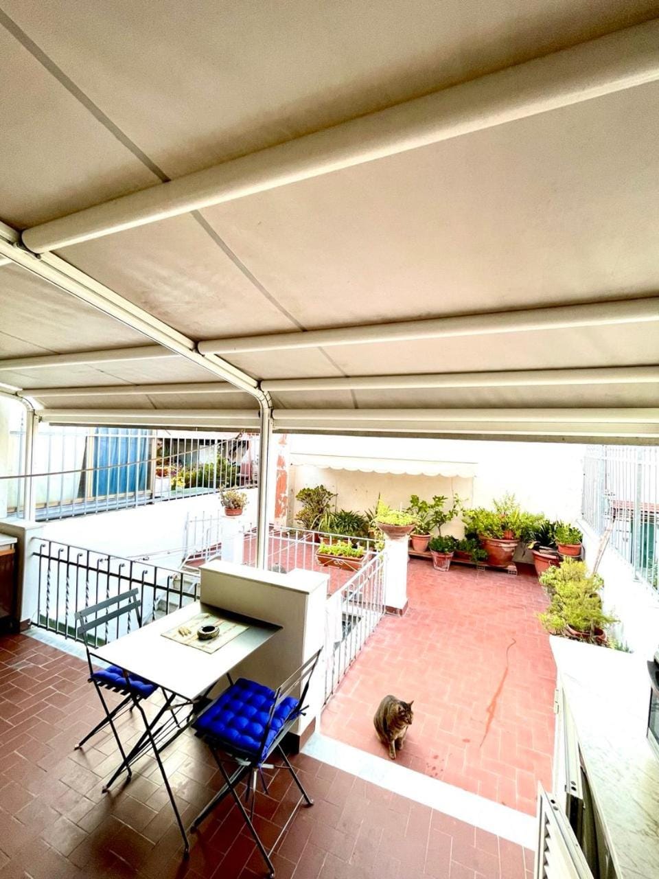 Casa Ave House in Viareggio