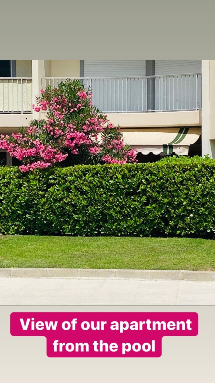 Garden, Garden view